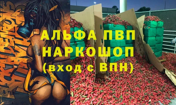 дживик Коряжма
