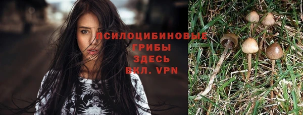 амф Корсаков