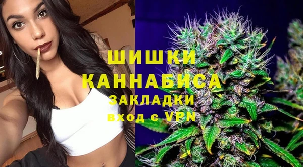 дживик Коряжма