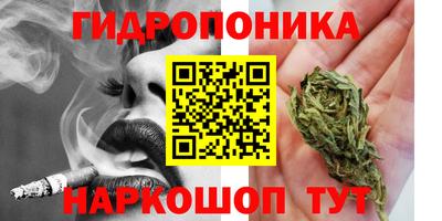 СК Заводоуковск