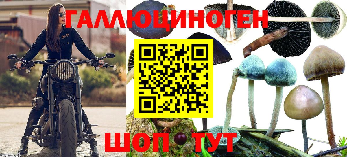 Галлюциногенные грибы MAGIC MUSHROOMS Хасавюрт